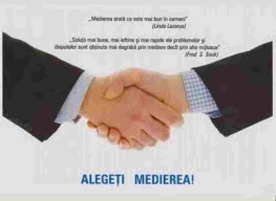 Birou mediator Gheorghe Adriana