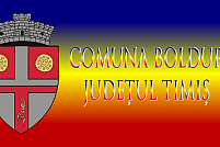 Primaria Boldur