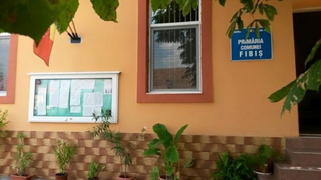 Primaria Fibis