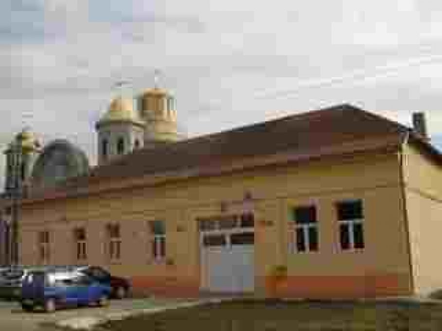 Primaria Peciu Nou