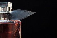 Care sunt principalele tipuri de parfumuri?