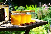 Cum se păstrează corect mierea: 4 sfaturi