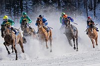 Topul celor mai urmărite curse de cai în 2021