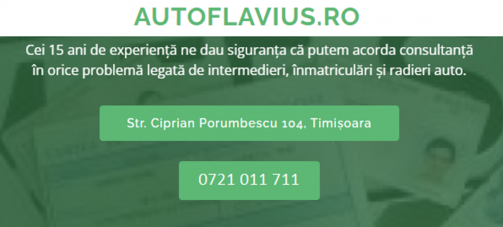 Auto Flavius