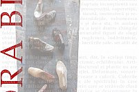 Pașii femeii Pește
