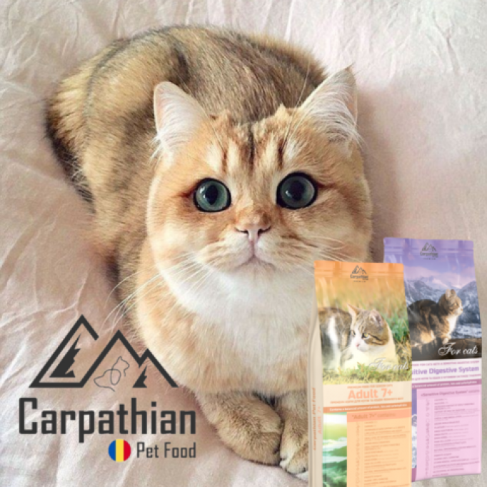 Mancare uscata pentru pisici by Carpathians Pet Food