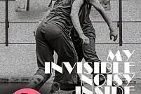 My invisible noisy inside