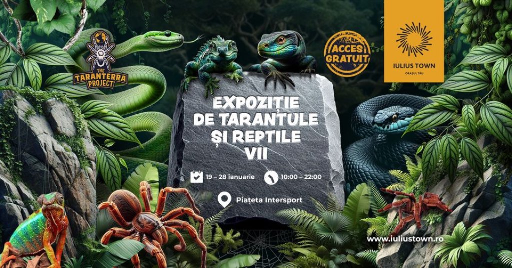 Expozitie de tarantule si reptile vii