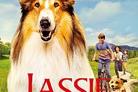 Lassie – o nouă aventură