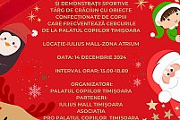 Craciun de vis la palat