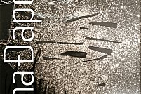 Expozitia Soil - Ana Dapovic