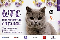 WCF International Cat Show