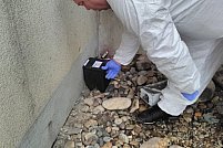 Servicii deratizare pentru firme