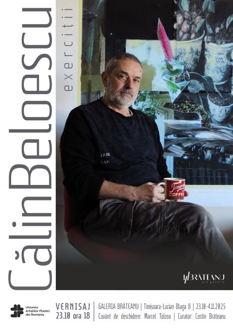 Expozitia Exercitii, Calin Beloescu