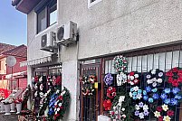 floraria oxalis timisoara