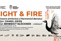 Light & Fire