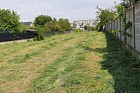 Teren intravilan pe Strada Legumiculturii, nr. 6 din Timisoara