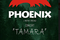 Concert Phoenix