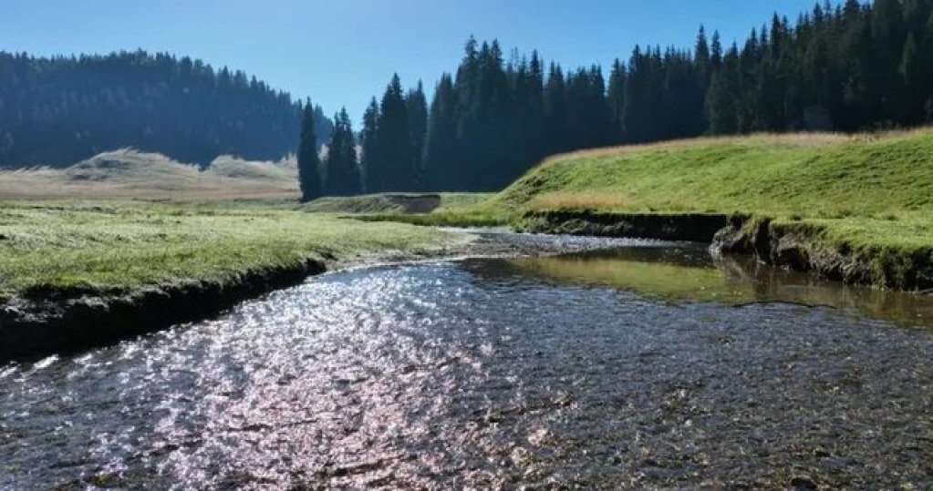 Muzica Apusenilor