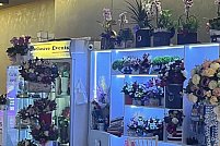 Exclusive Events