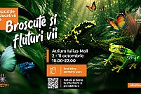 Expozitie de fluturi si albine vii