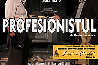 Profesionistul