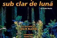 Prostii sub clar de luna