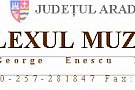 Complexul Muzeal Arad