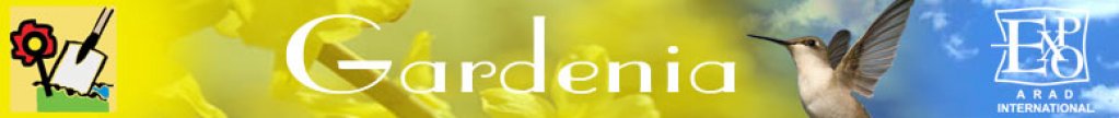 Gardenia