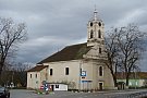 Buteni