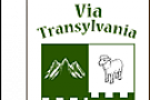 Via Transylvania Tours