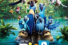 Rio 2 dublat