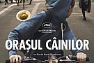 Orasul cainilor