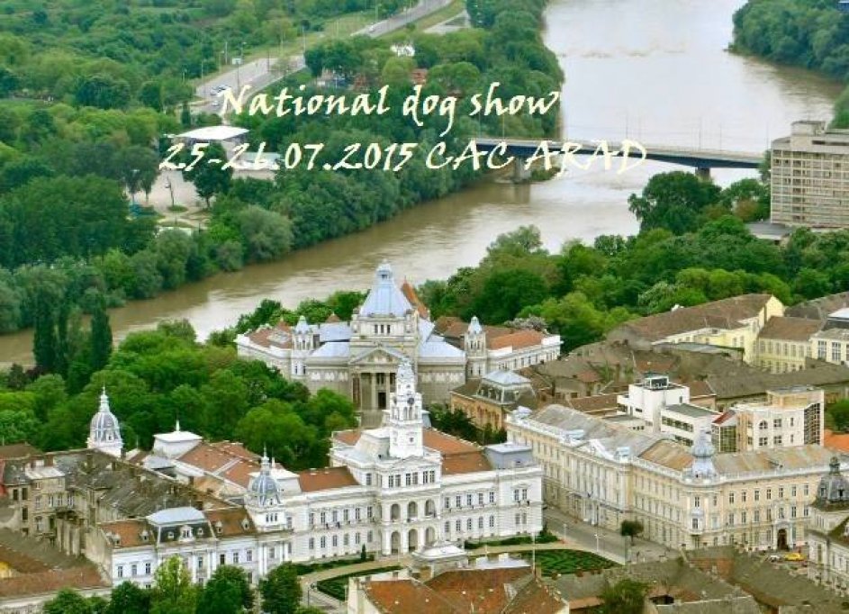 National Dog Show Arad