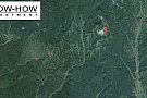 OFERTA - De vanzare 100 hectare pasune in comuna Petris, jud. Arad