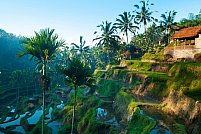 Oferta turistica in Bali