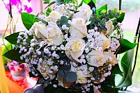 Floraria Adi