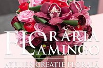 Floraria Flamingo