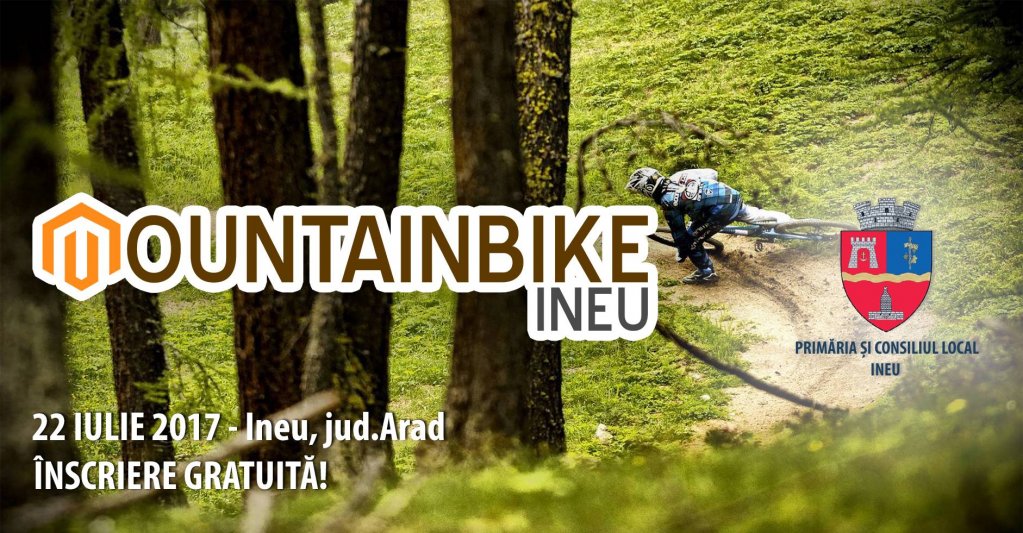 Mountain Bike Ineu
