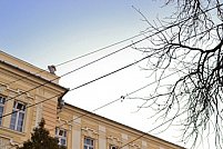 Colegiul Naţional Preparandia Dimitrie Țichindeal Arad