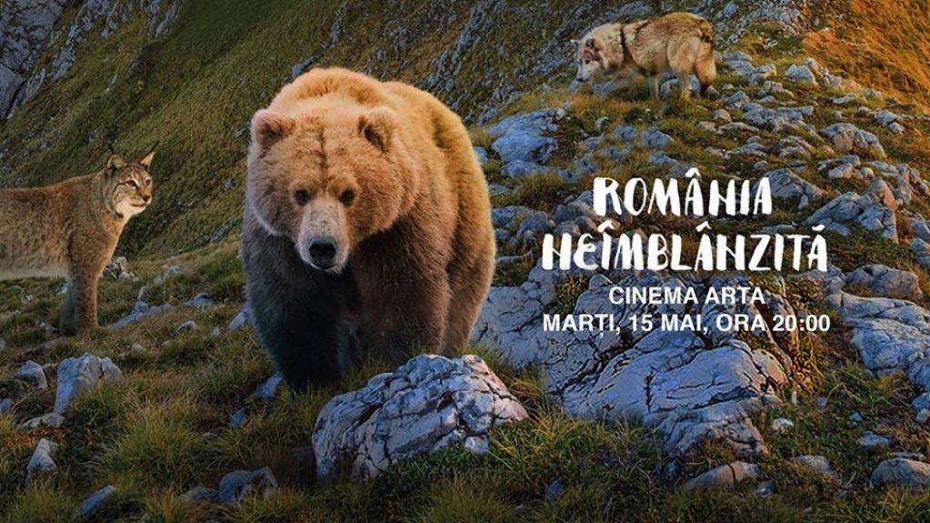 Romania Neimblanzita