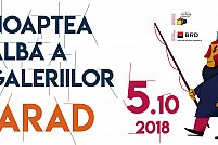 Noaptea Alba a Galeriilor Arad