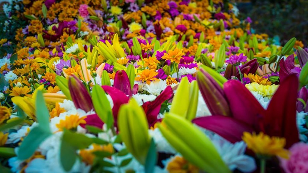 FlorAr