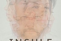 Insule