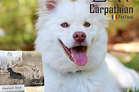 Hrana uscata pentru caini de la Carpathians Pet Food