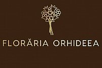 Florăria Orhideea