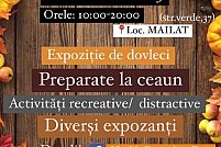 Festivalul Dovleacului