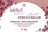 Festivalul Strugurilor