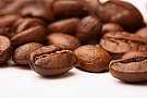 Gloria Jean's Coffees Baneasa