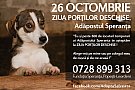 Start la adoptii - Ziua Portilor deschise la Adapostul Speranta